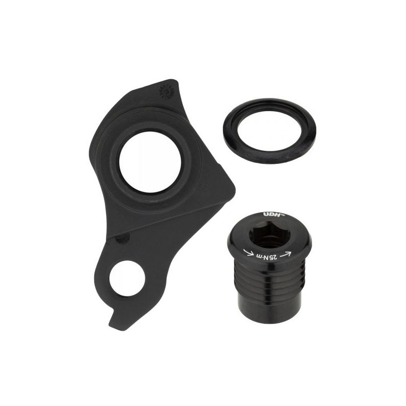 Pivot derailleur hanger on sale