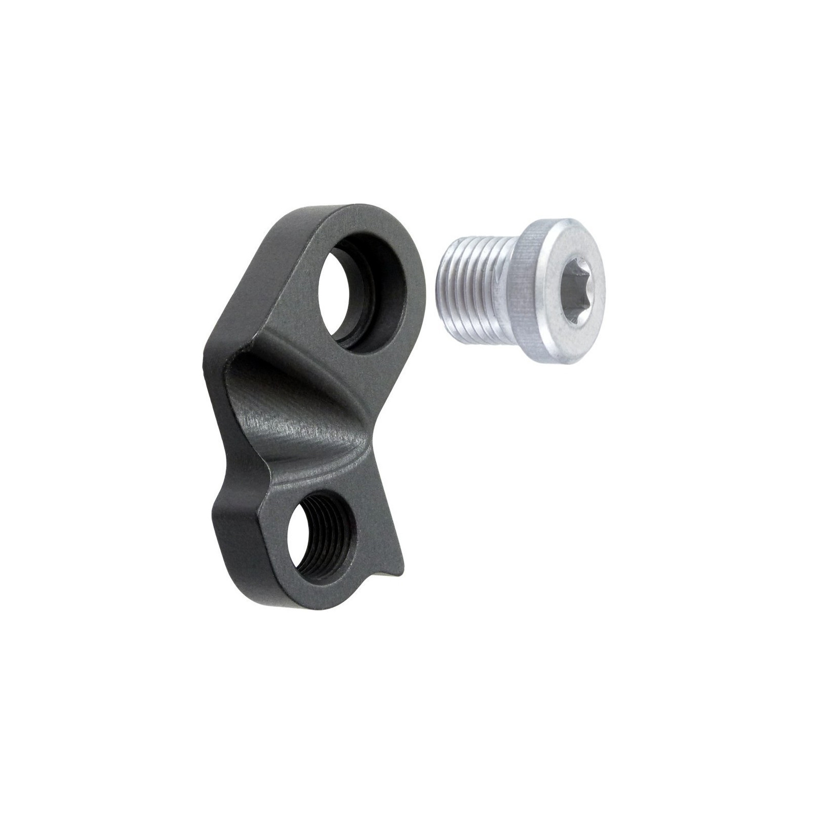 Rear 2024 derailleur adapter