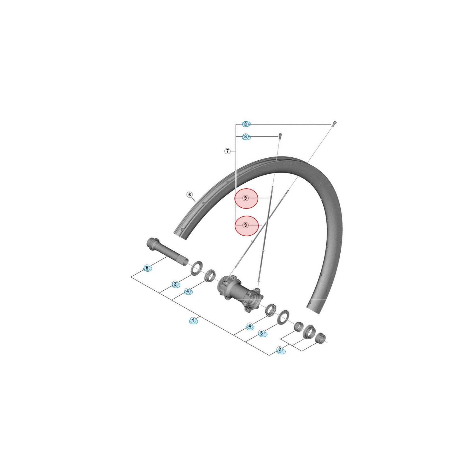 Shimano Dura-Ace WH-R9170-C40-TU-R12 Spoke - Right - 287 mm